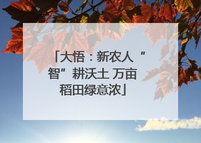 大悟：新农人“智”耕沃土 万亩稻田绿意浓