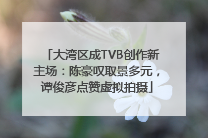 大湾区成TVB创作新主场：陈豪叹取景多元，谭俊彦点赞虚拟拍摄