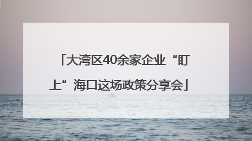 大湾区40余家企业“盯上”海口这场政策分享会