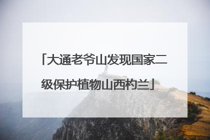 大通老爷山发现国家二级保护植物山西杓兰