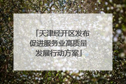 天津经开区发布促进服务业高质量发展行动方案