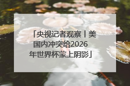 央视记者观察丨美国内冲突给2026年世界杯蒙上阴影
