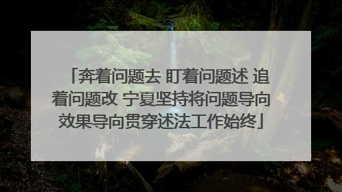 奔着问题去 盯着问题述 追着问题改 宁夏坚持将问题导向效果导向贯穿述法工作始终