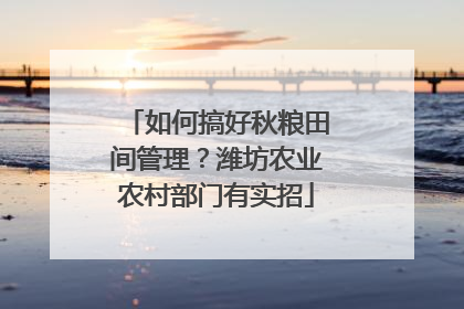 如何搞好秋粮田间管理？潍坊农业农村部门有实招