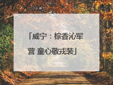 威宁：棕香沁军营 童心敬戎装