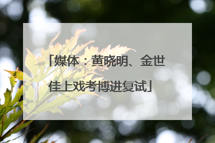 媒体：黄晓明、金世佳上戏考博进复试