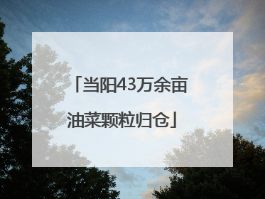 当阳43万余亩油菜颗粒归仓