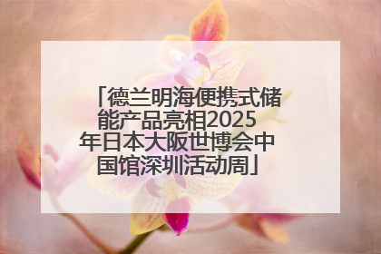 德兰明海便携式储能产品亮相2025年日本大阪世博会中国馆深圳活动周