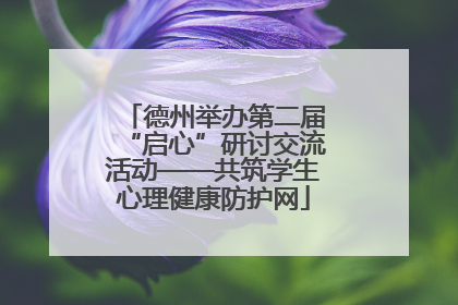 德州举办第二届“启心”研讨交流活动——共筑学生心理健康防护网
