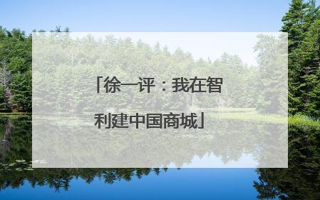 徐一评：我在智利建中国商城