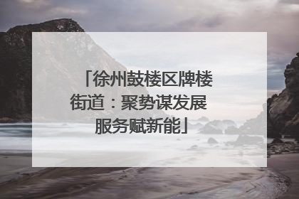 徐州鼓楼区牌楼街道：聚势谋发展 服务赋新能