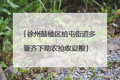 徐州鼓楼区拾屯街道多管齐下助农抢收夏粮