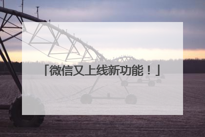 微信又上线新功能！