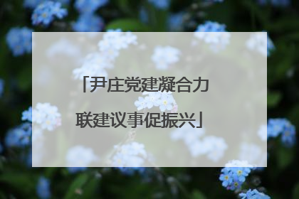 尹庄党建凝合力 联建议事促振兴