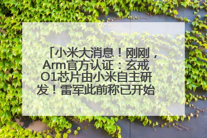 小米大消息！刚刚，Arm官方认证：玄戒O1芯片由小米自主研发！雷军此前称已开始大规模量产
