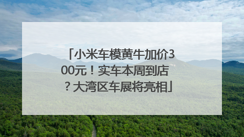 小米车模黄牛加价300元！实车本周到店？大湾区车展将亮相