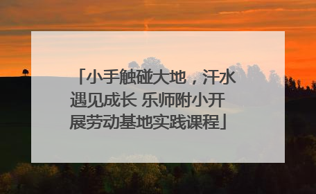 小手触碰大地，汗水遇见成长 乐师附小开展劳动基地实践课程