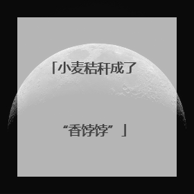 小麦秸秆成了“香饽饽”
