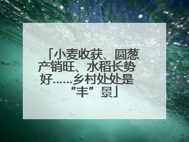 小麦收获、圆葱产销旺、水稻长势好……乡村处处是“丰”景