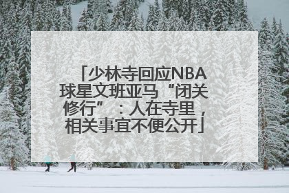 少林寺回应NBA球星文班亚马“闭关修行”：人在寺里，相关事宜不便公开
