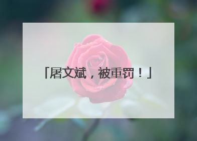 屠文斌，被重罚！