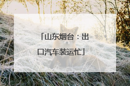 山东烟台：出口汽车装运忙