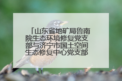 山东省地矿局鲁南院生态环境修复党支部与济宁市国土空间生态修复中心党支部联合开展全国“土地日”主题活动