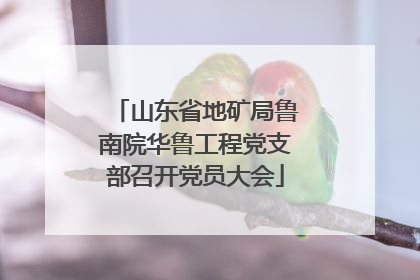 山东省地矿局鲁南院华鲁工程党支部召开党员大会
