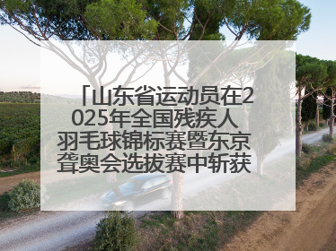 山东省运动员在2025年全国残疾人羽毛球锦标赛暨东京聋奥会选拔赛中斩获3银1铜