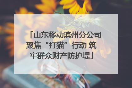 山东移动滨州分公司聚焦“打猫”行动 筑牢群众财产防护堤