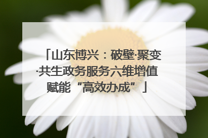 山东博兴：破壁·聚变·共生政务服务六维增值赋能“高效办成”