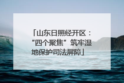 山东日照经开区：“四个聚焦”筑牢湿地保护司法屏障