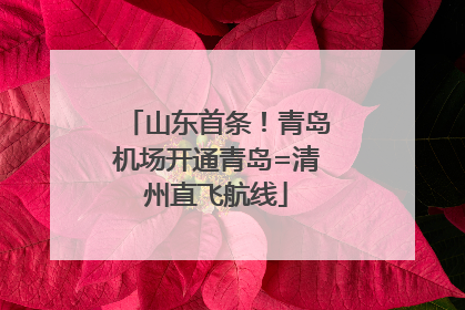 山东首条！青岛机场开通青岛=清州直飞航线