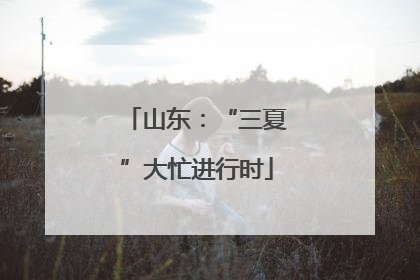山东：“三夏”大忙进行时
