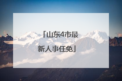 山东4市最新人事任免