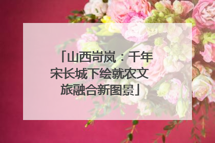 山西岢岚：千年宋长城下绘就农文旅融合新图景
