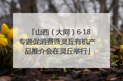 山西（大同）6·18专题促消费暨灵丘有机产品推介会在灵丘举行