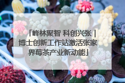峰林聚智 科创兴张｜博士创新工作站激活张家界莓茶产业新动能
