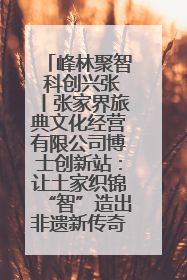 峰林聚智 科创兴张丨张家界旅典文化经营有限公司博士创新站：让土家织锦“智”造出非遗新传奇
