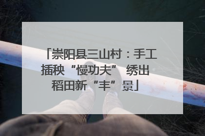 崇阳县三山村：手工插秧“慢功夫” 绣出稻田新“丰”景