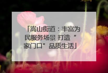 嵩山街道：丰富为民服务场景 打造“家门口”品质生活