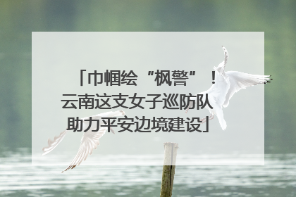 巾帼绘“枫警”！云南这支女子巡防队助力平安边境建设