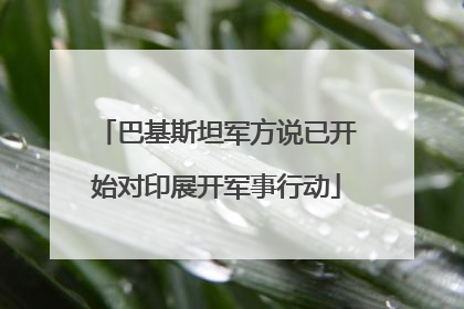 巴基斯坦军方说已开始对印展开军事行动