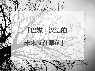 巴媒：汉语的未来就在眼前