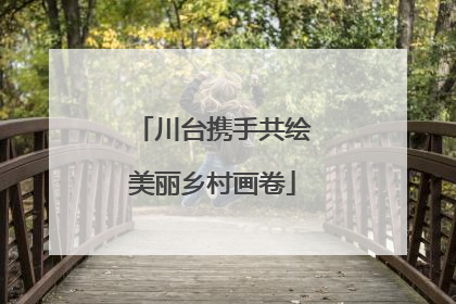 川台携手共绘美丽乡村画卷
