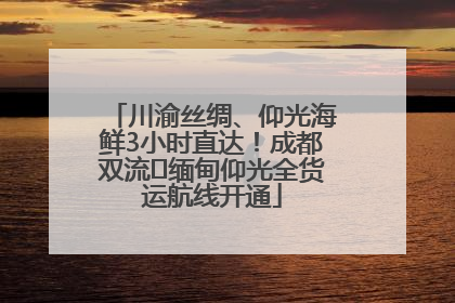 川渝丝绸、仰光海鲜3小时直达！成都双流⇌缅甸仰光全货运航线开通