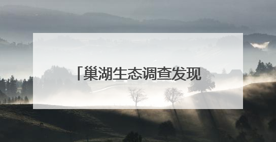 巢湖生态调查发现多种新记录物种