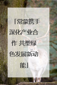 常蒙携手深化产业合作 共塑绿色发展新动能