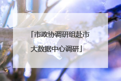 市政协调研组赴市大数据中心调研