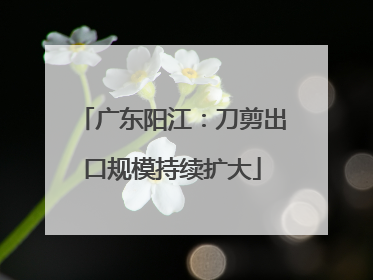 广东阳江：刀剪出口规模持续扩大
